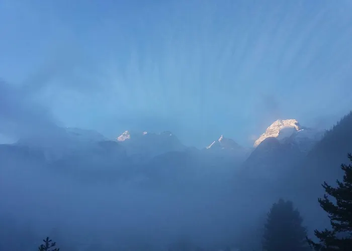 Prinzis シャレー ローファー